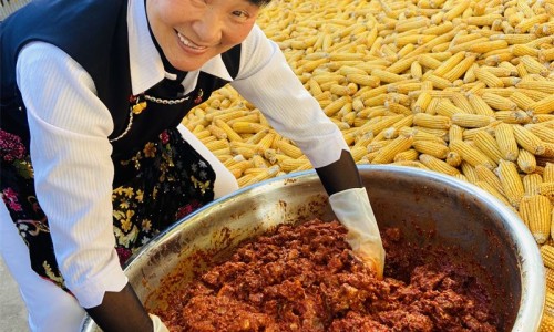 天王补心丸成分和功能主治网 - 为你提供天王补心丸的功能与副作用、天王补心丸说明书及用量